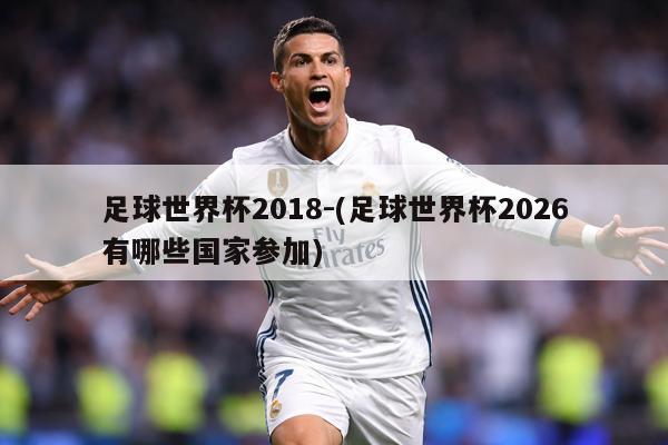 足球世界杯2018-(足球世界杯2026有哪些国家参加)