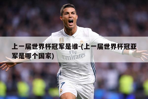 上一届世界杯冠军是谁-(上一届世界杯冠亚军是哪个国家)