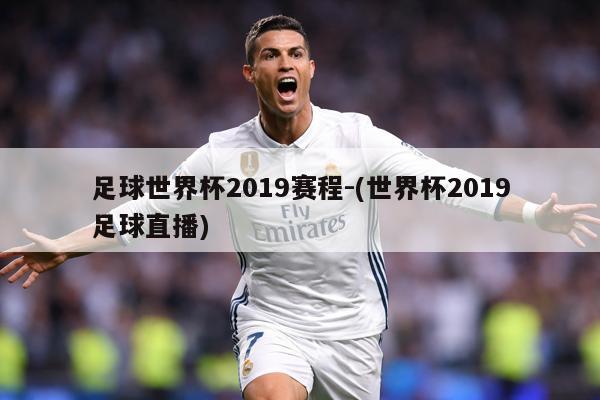足球世界杯2019赛程-(世界杯2019足球直播)