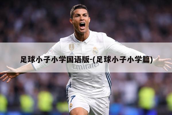 足球小子小学国语版-(足球小子小学篇)