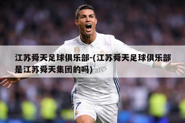 江苏舜天足球俱乐部-(江苏舜天足球俱乐部是江苏舜天集团的吗)