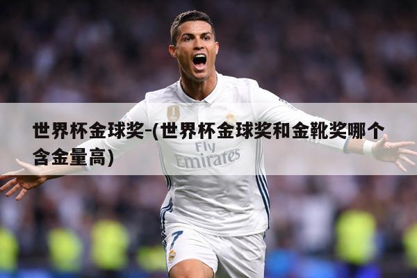 世界杯金球奖-(世界杯金球奖和金靴奖哪个含金量高)
