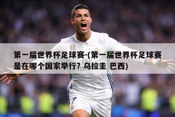 第一届世界杯足球赛-(第一届世界杯足球赛是在哪个国家举行? 乌拉圭 巴西)