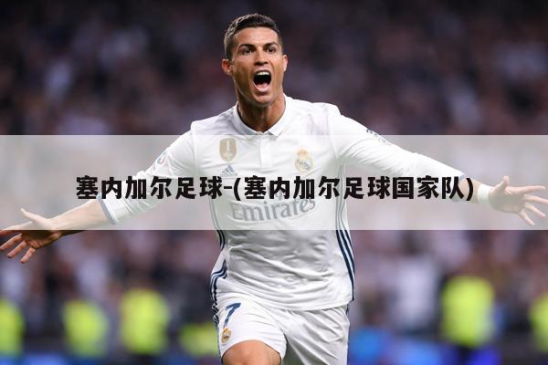 塞内加尔足球-(塞内加尔足球国家队)
