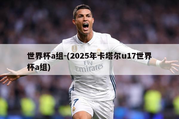 世界杯a组-(2025年卡塔尔u17世界杯a组)