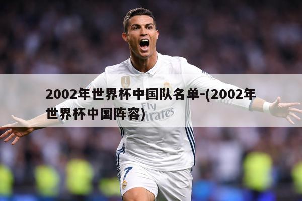 2002年世界杯中国队名单-(2002年世界杯中国阵容)