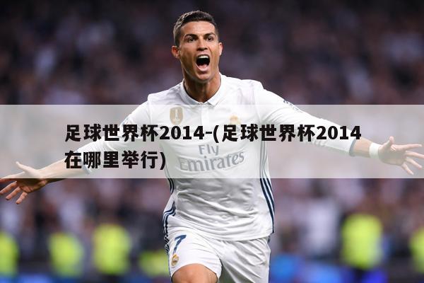 足球世界杯2014-(足球世界杯2014在哪里举行)