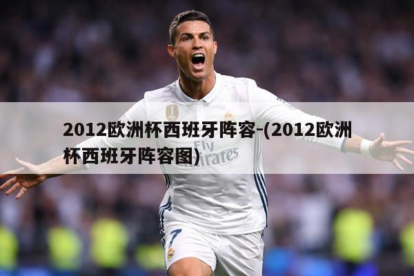 2012欧洲杯西班牙阵容-(2012欧洲杯西班牙阵容图)